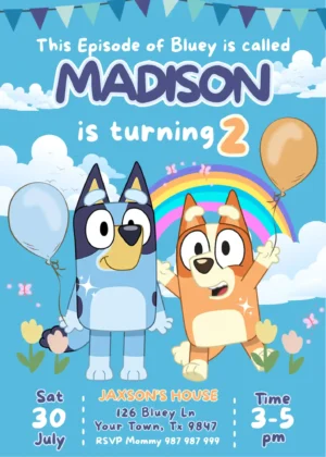 Bluey Birthday Party Invitation